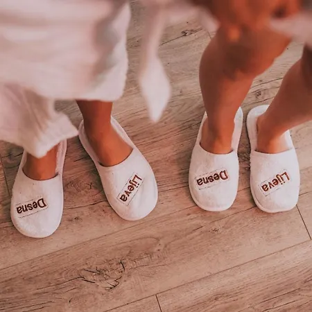 Marienplatz ホテル ポドゴリツァ